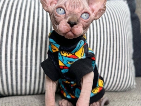 7c36debf-7718-4628-9530-6e5c348c6e2e