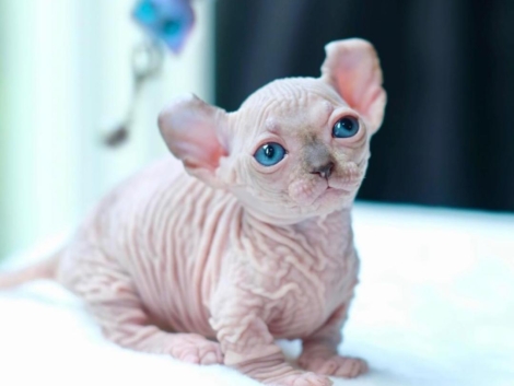 a8f3f6d6-bf1a-422d-8857-684205bf7cc0