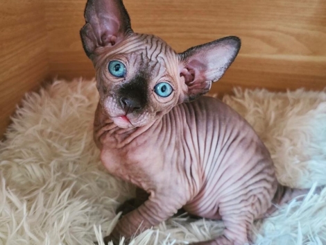 d44064d8-a2a0-4919-ae55-d97cb94cd0d5